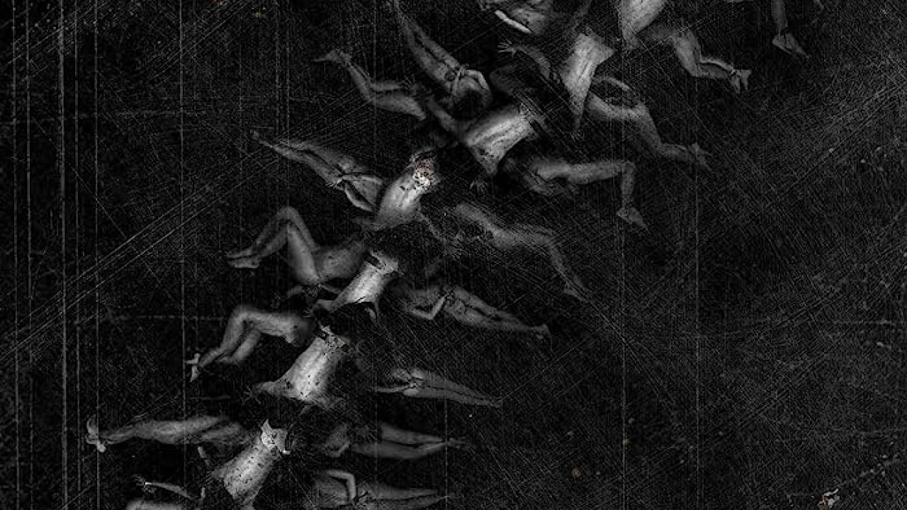 The Human Centipede II Full Sequence ( 2011 )