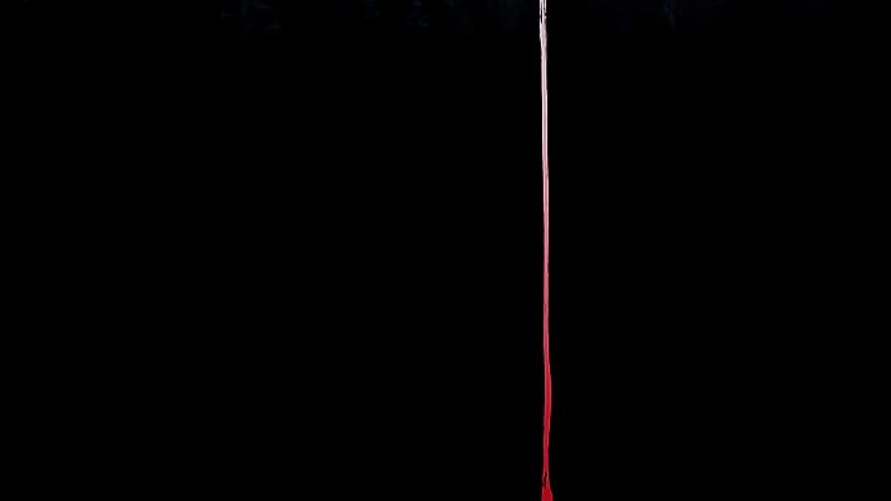 Dark Windows ( 2023 )