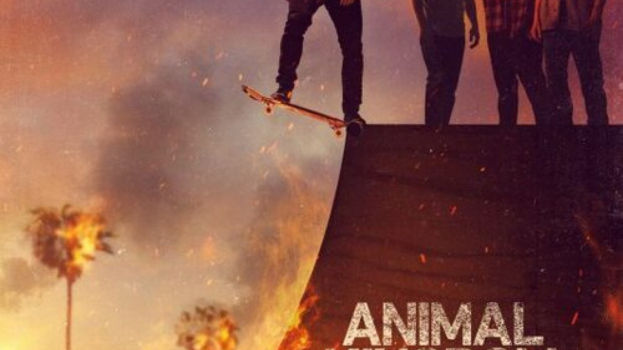 Animal Kingdom