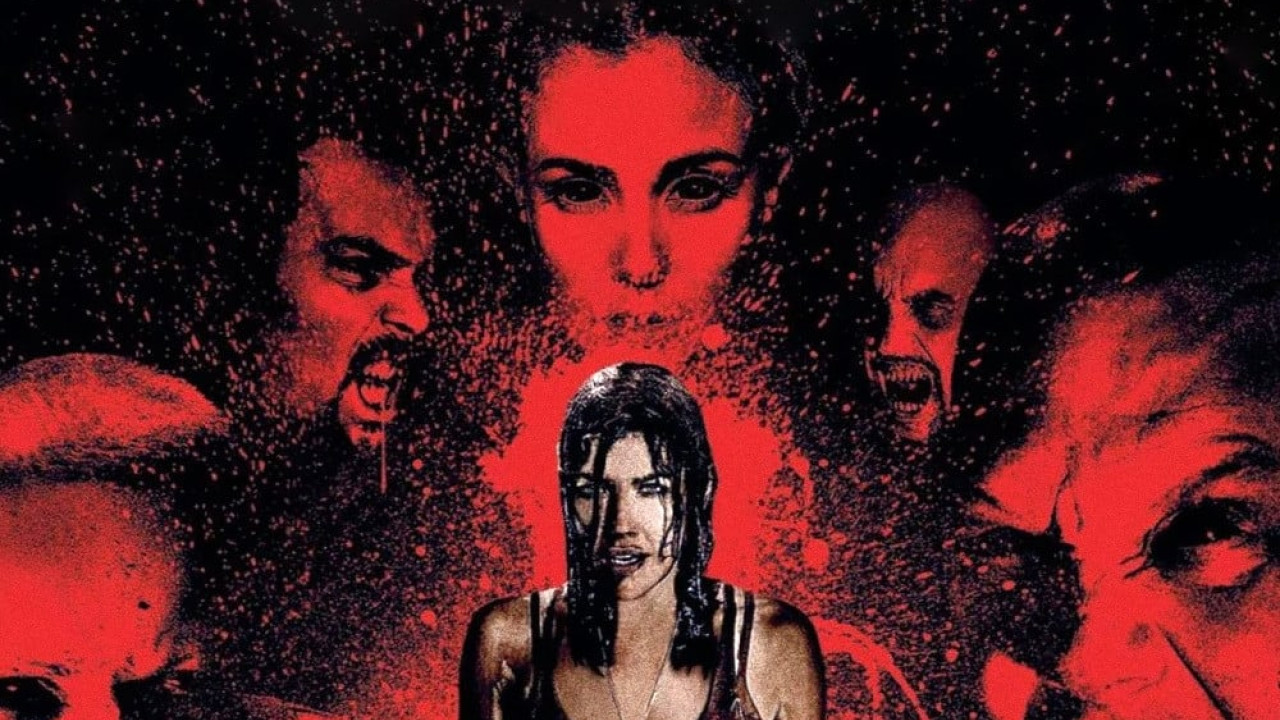30 Days of Night: Dark Days ( 2010 )