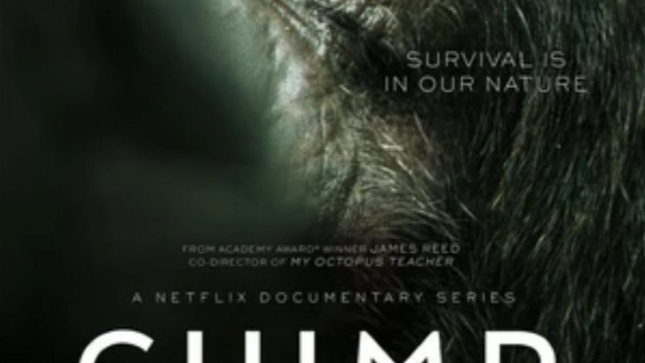 Chimp Empire الموسم الاول الحلقة 2