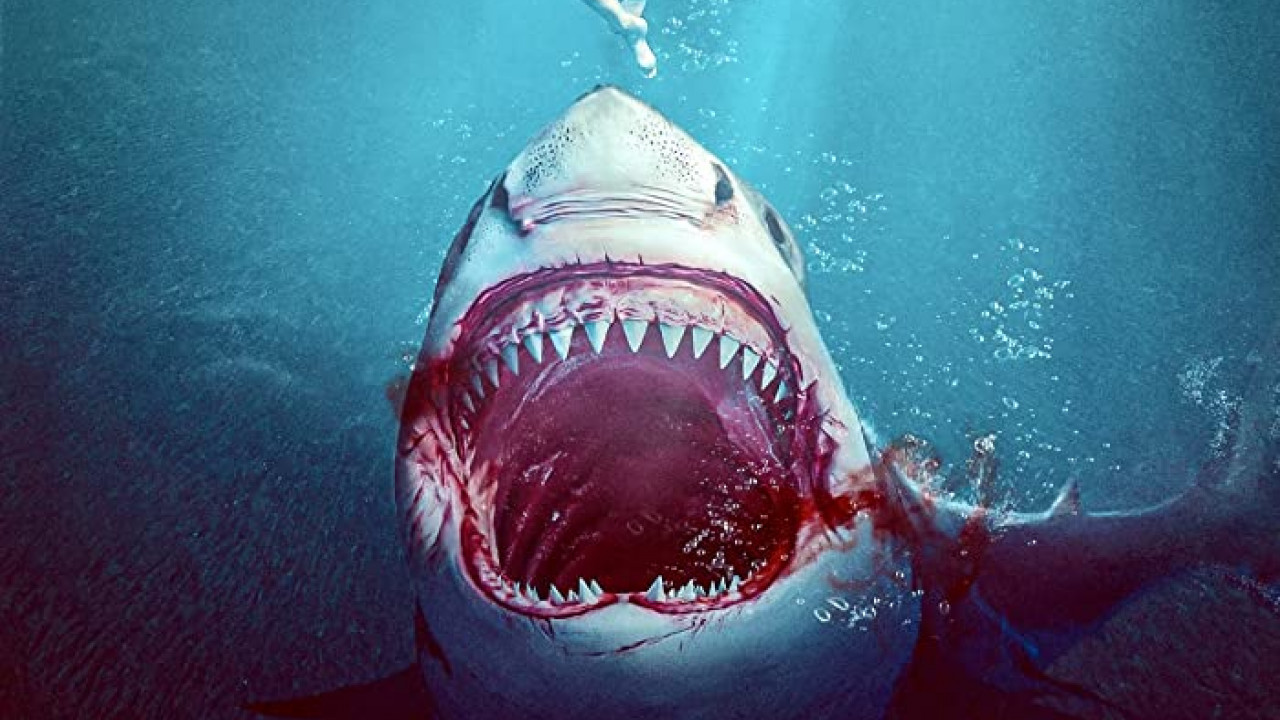 Bull Shark ( 2022 )