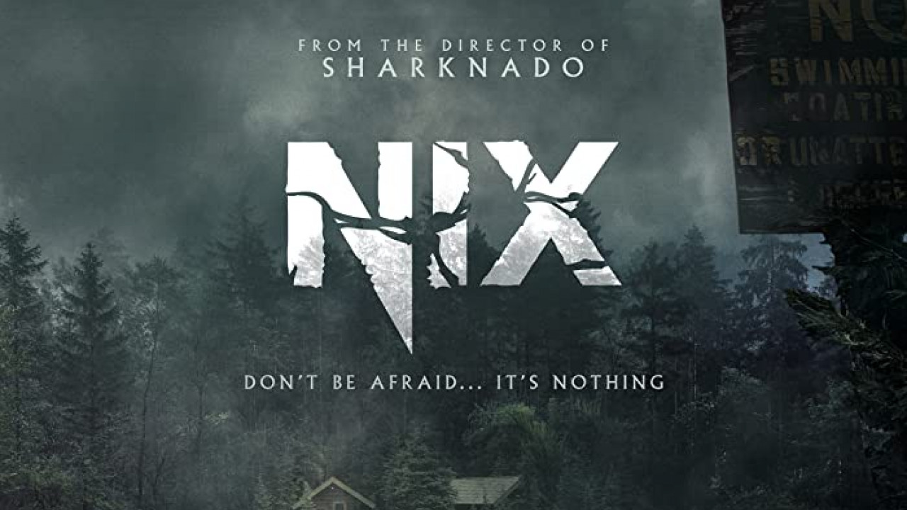 Nix ( 2022 )
