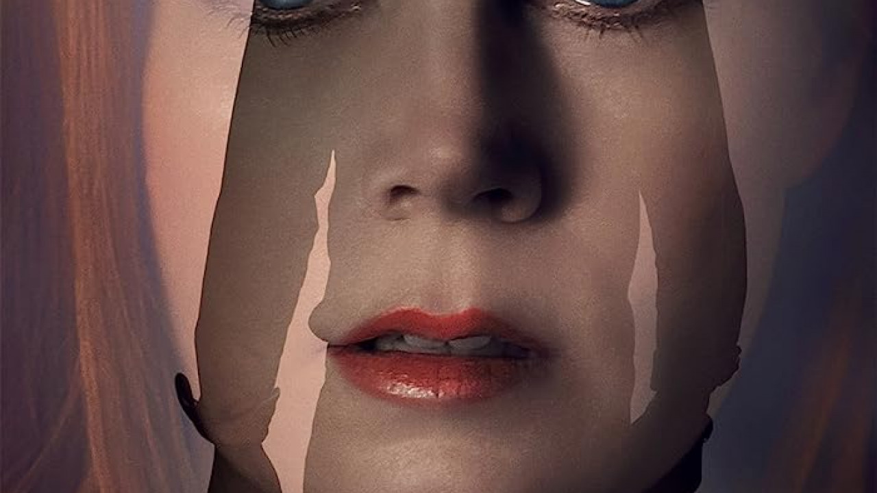 Nocturnal Animals ( 2016 )
